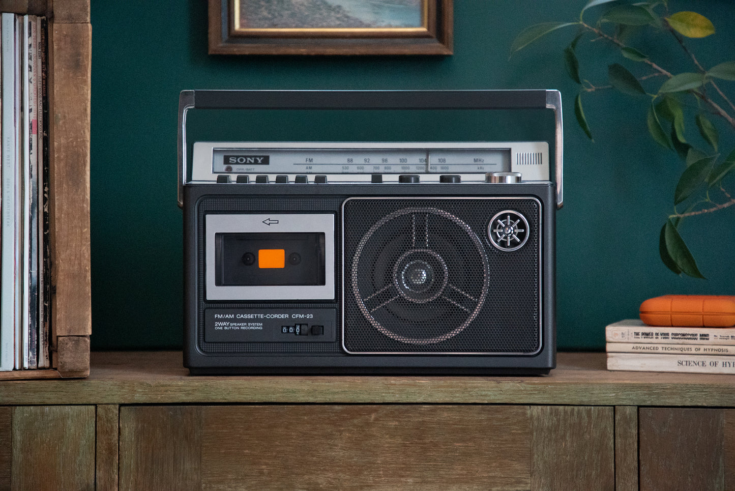1981 Sony